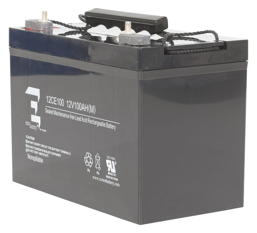 AGM BATTERY (1) 12V