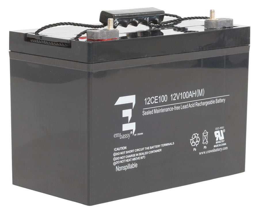 AGM BATTERY (1) 12V