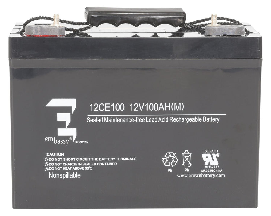 AGM BATTERY (1) 12V