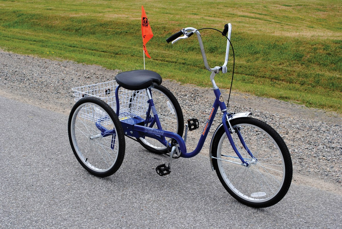 STANDARD INDUSTRIAL BICYCLE 250 LB BLUE - Model IBIKE-3-DC-B