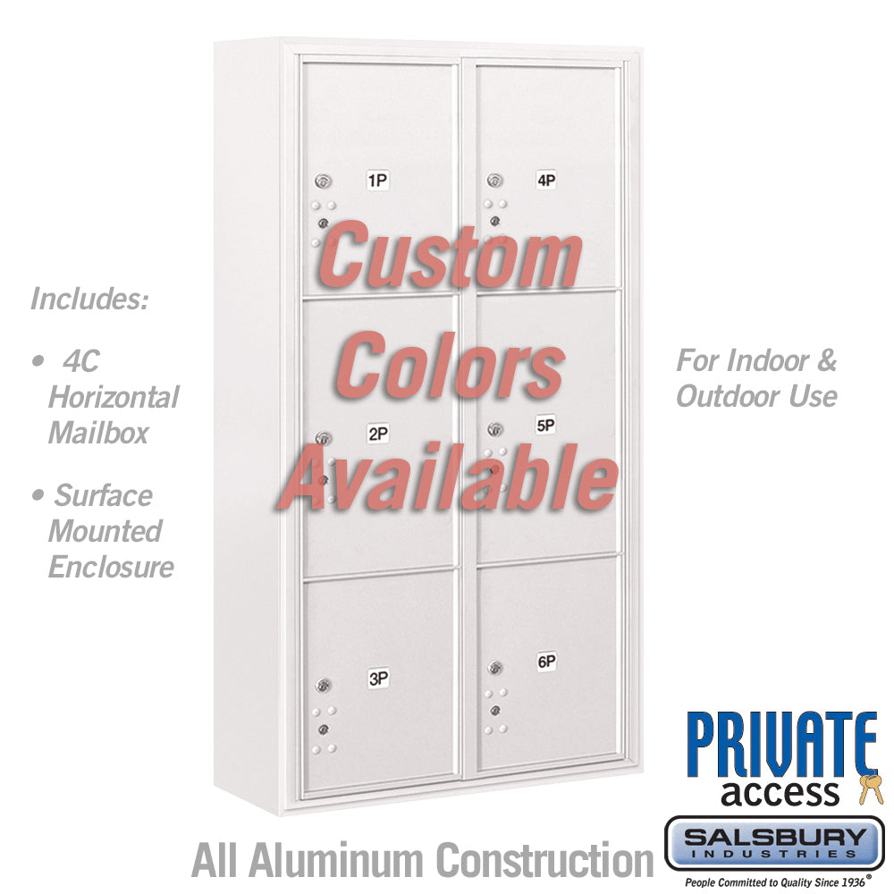 Surface Mounted 4C Horizontal Mailbox Unit (Includes 3716D-6PCFP Parcel Locker, 3816D-CST Enclosure and Master Commercial Locks) - Maximum Height Unit (57-3/4 Inches) - Double Column - Stand-Alone Parcel Locker - 2 PL4.5's, 2 PL5's and 2 PL6's