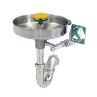 Thumbnail for AXION® MSR Wall Mount Eye/Face Wash