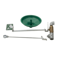 Thumbnail for AXION® MSR Freeze Protected Drench Shower