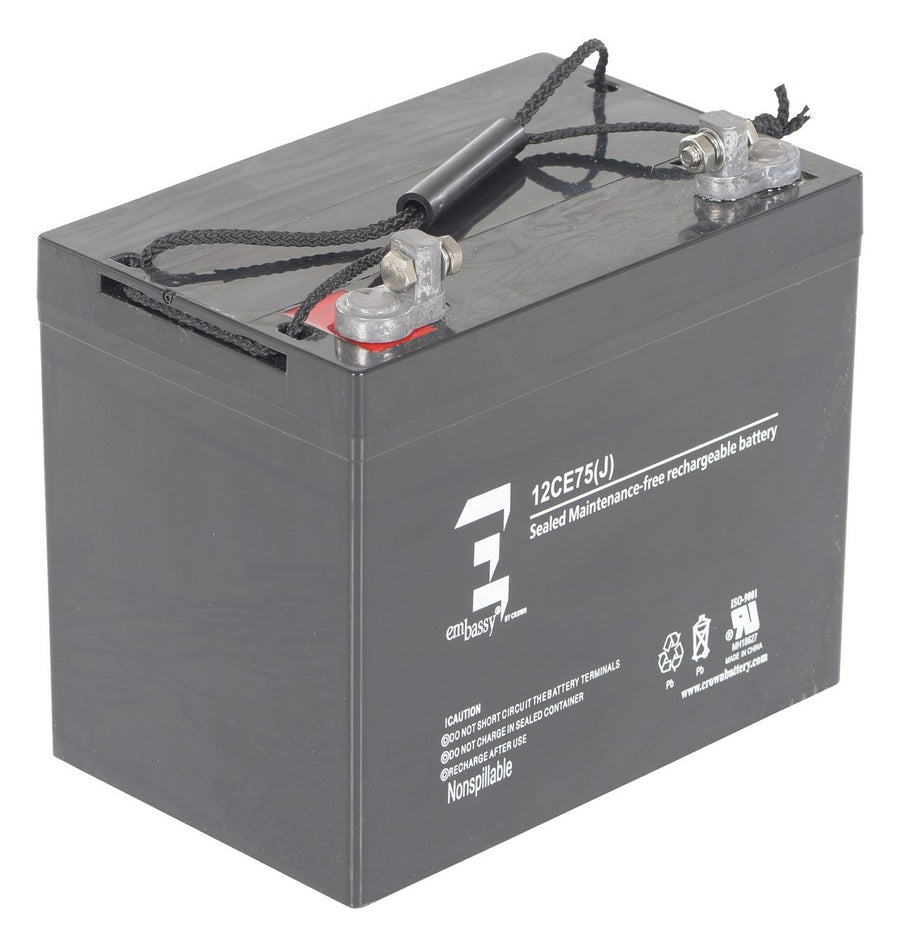 AGM BATTERY (1) 12V