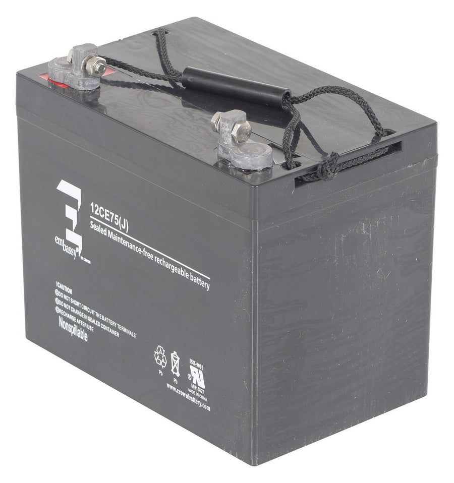 AGM BATTERY (1) 12V