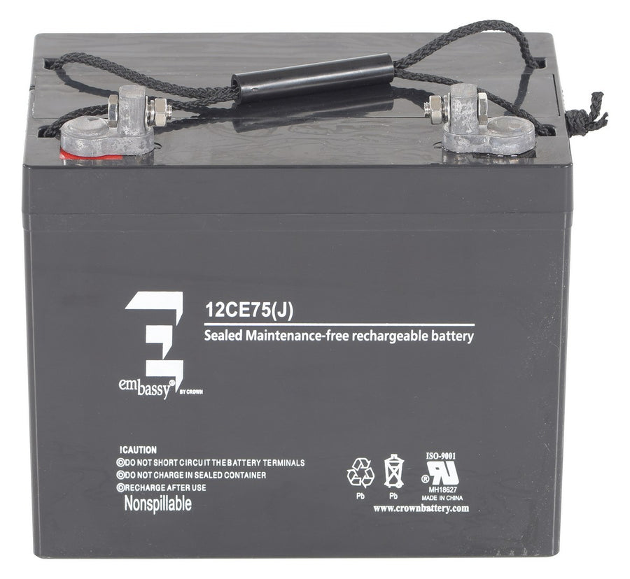 AGM BATTERY (1) 12V