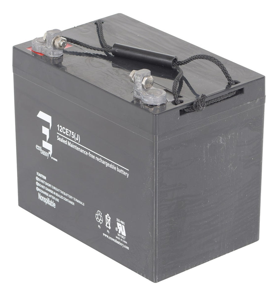 AGM BATTERY (2) 12V