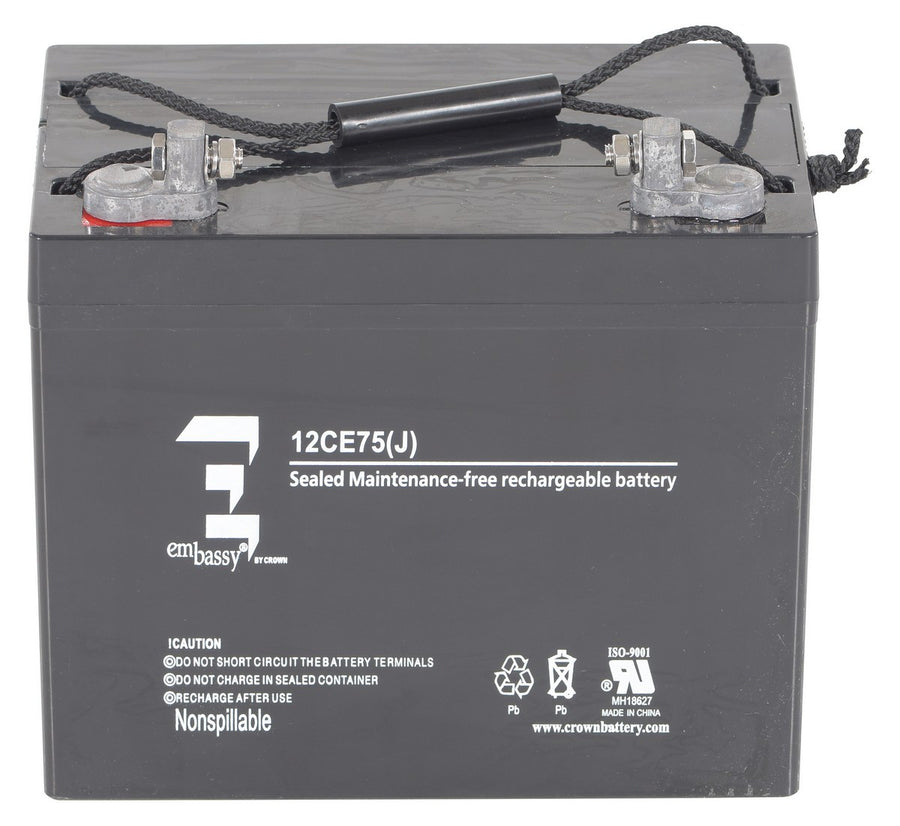 AGM BATTERY (2) 12V