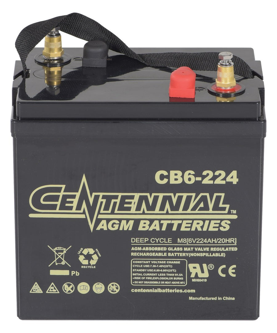 AGM BATTERY (4) 6V