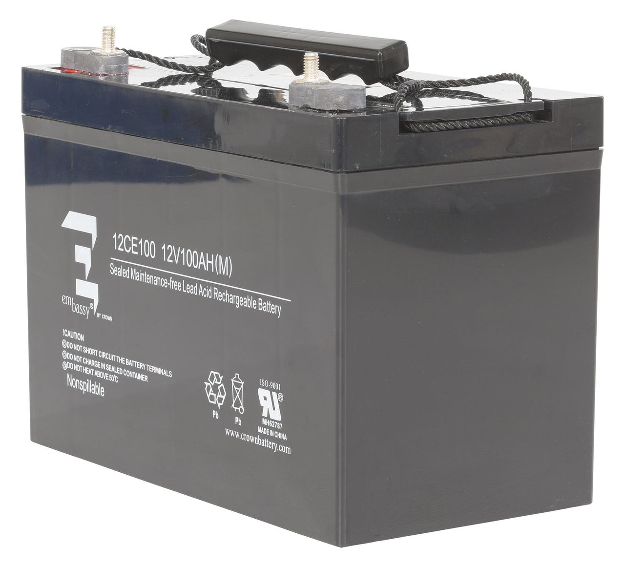 AGM BATTERY (1) 12V