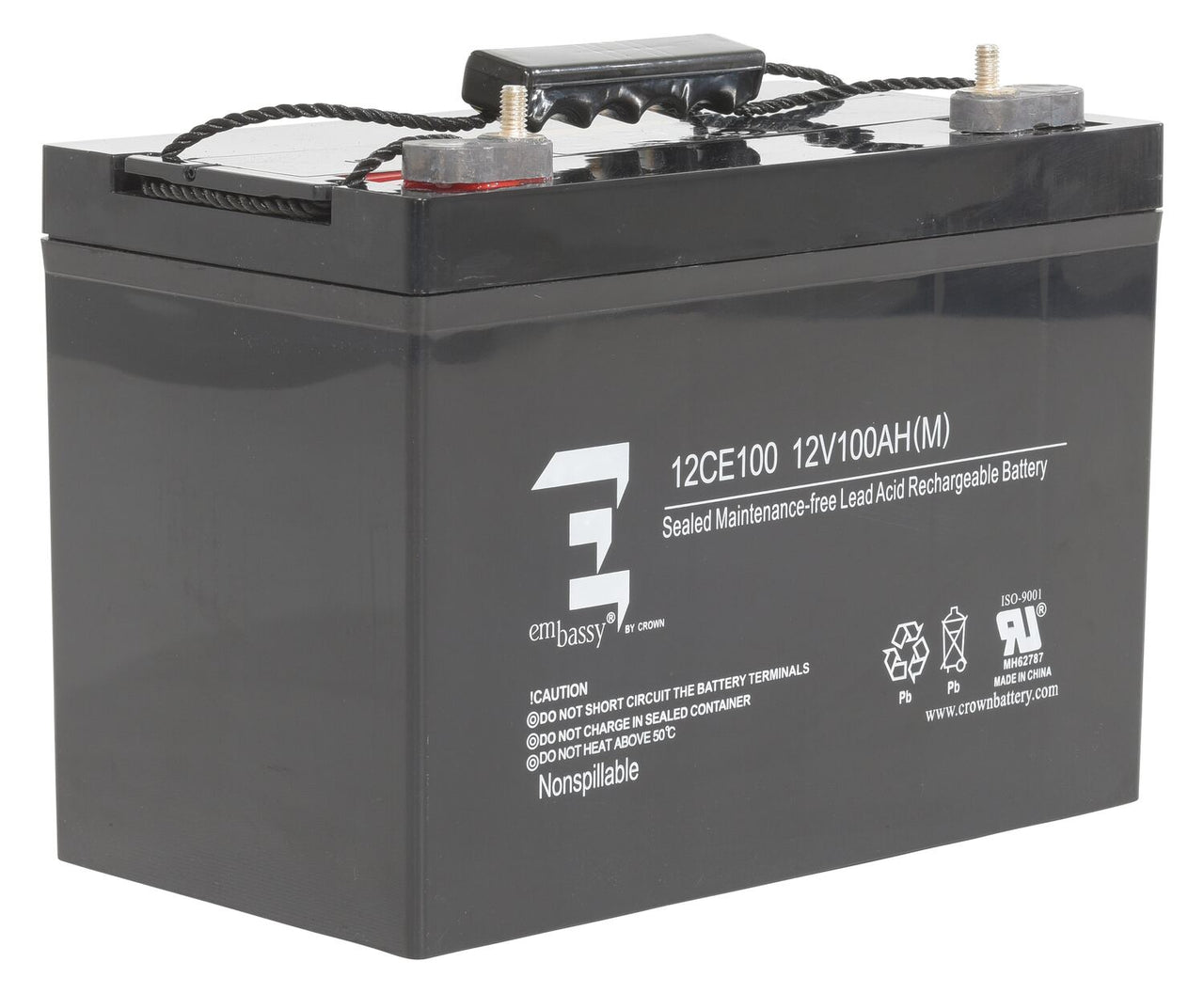 AGM BATTERY (1) 12V