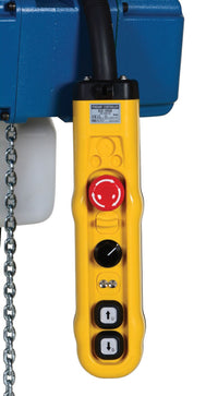 Thumbnail for VARIABLE SPEED ELECT HOIST 500 LB CAP