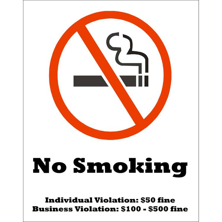 ZING No Smoking Label, 7X5, 2/PK- Model 1864S