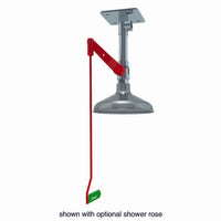 Thumbnail for Hughes Drench Shower, Ceiling Mount, Galvanized Pipe