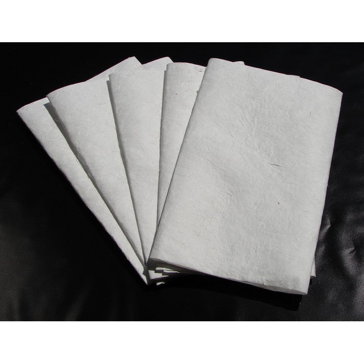 Extended Drip Pad 5-Pack Refill
