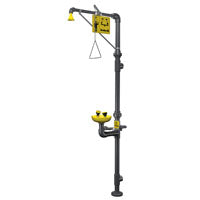 Bradley PVC Shower with Eye & Face Wash