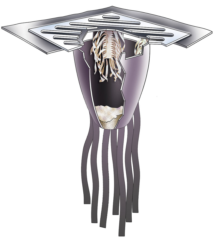 Drain Guard, Ultimate Model: 1-Pack