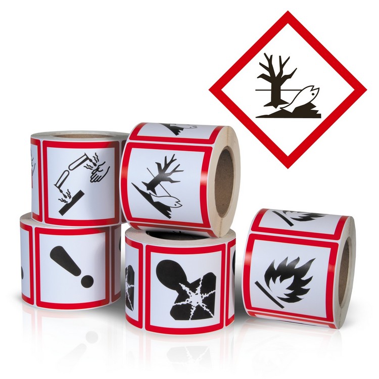 Environment (4" x 4") 500/Roll