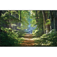 Thumbnail for Table-Gard Disposable Work Mats - 10 Pack - Forest Trail