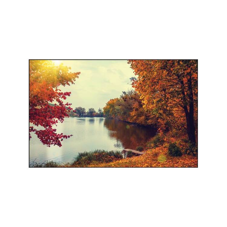 Table-Gard Disposable Work Mats - 10 Pack - Fall Lake