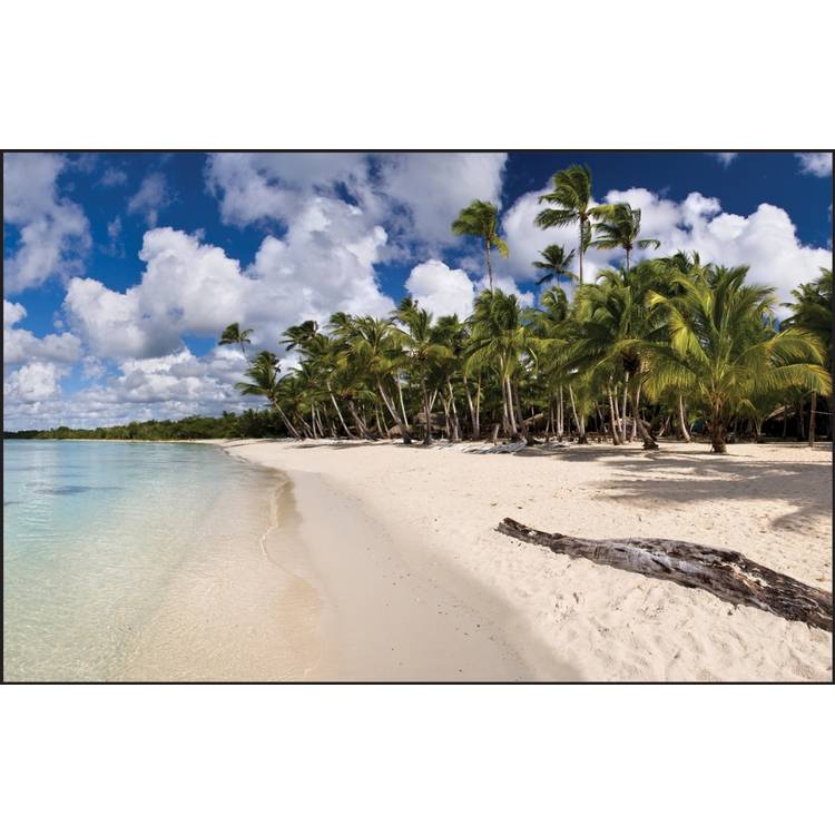 Table-Gard Disposable Work Mats - 10 Pack - Beach Palms