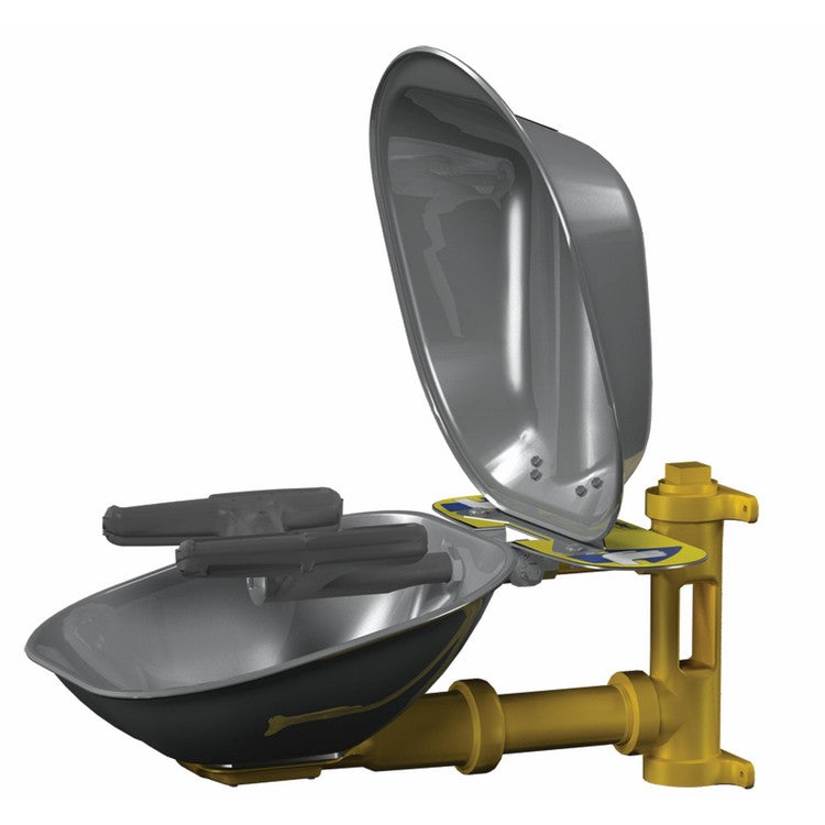 Safety Eye/Face Wash, Wall Mount - Model S19224DCFW