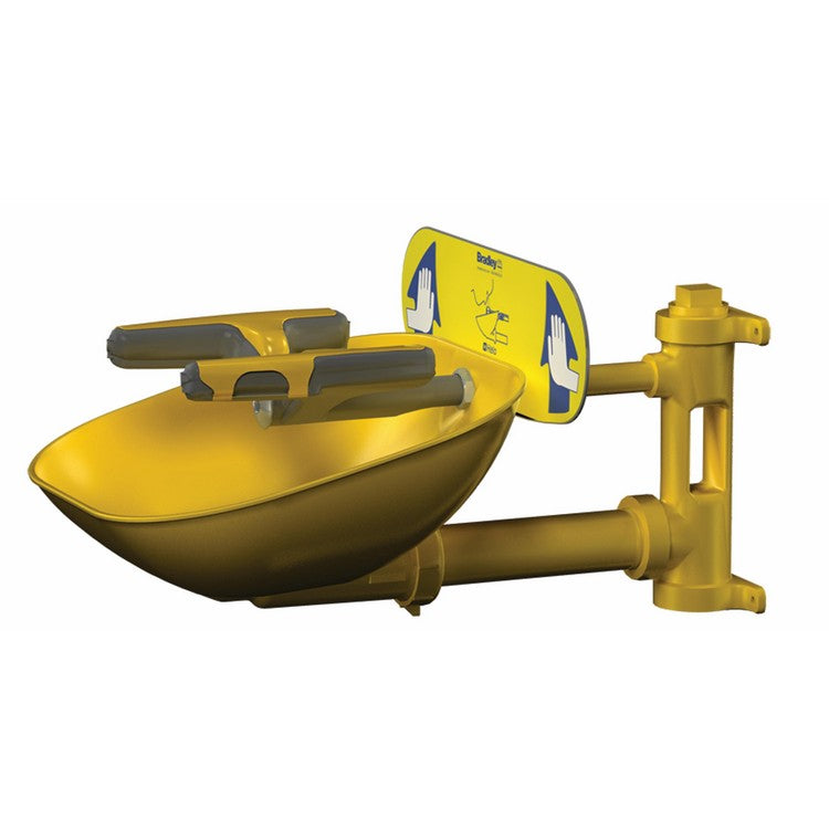 Safety Eye/Face Wash, Wall Mount - Model S19224FW